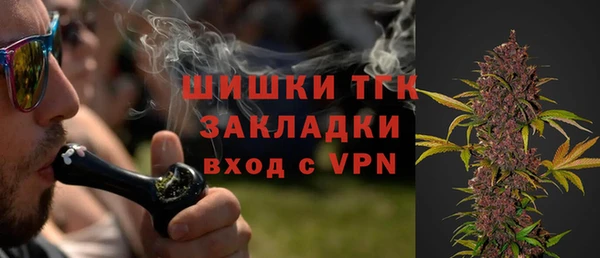 МДПВ Абаза