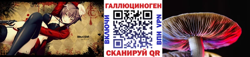 купить закладку  omg онион  Псилоцибиновые грибы GOLDEN TEACHER  Агидель 